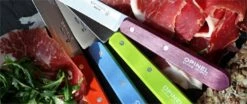 Opinel N°112 Set Of 4 Paring Knives 10cm With Colourful Handles -EdgeMaster Shop opinel n112 set 4 paring knives 10cm colourful handles 2