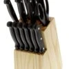 Pradel Excellence 17-piece Knife Block Set - Riveted Handles -EdgeMaster Shop pradel excellence 17 piece knife block set riveted handles