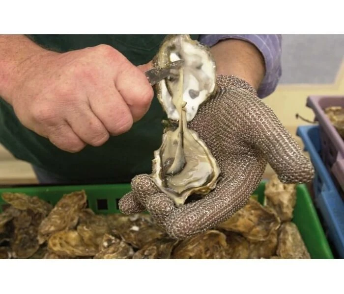 Fischer WILCO Chainmail Ambidextrous Glove - Small Size 4 Fischer WILCO Chainmail Ambidextrous Glove - Small Size - Image 2